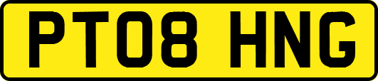 PT08HNG