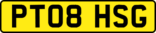 PT08HSG