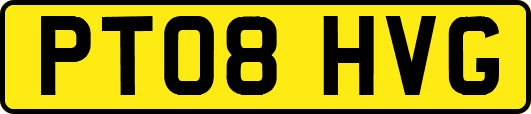 PT08HVG