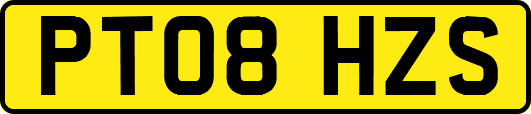 PT08HZS