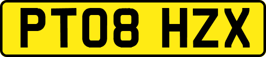 PT08HZX