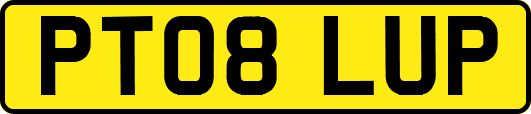 PT08LUP