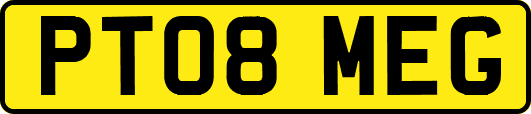 PT08MEG