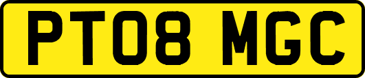 PT08MGC
