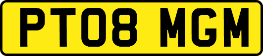 PT08MGM