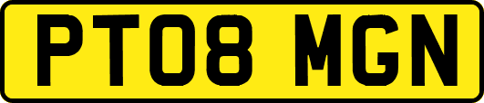PT08MGN