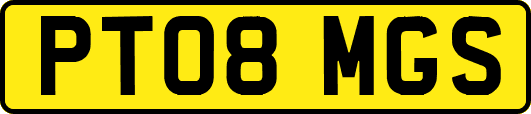 PT08MGS
