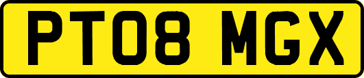 PT08MGX