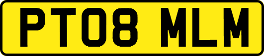 PT08MLM