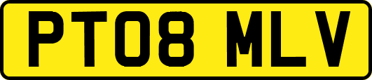 PT08MLV