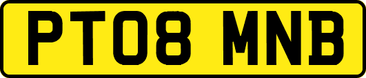 PT08MNB