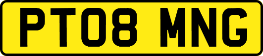 PT08MNG