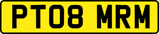 PT08MRM