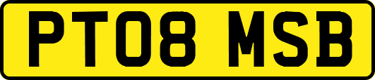 PT08MSB