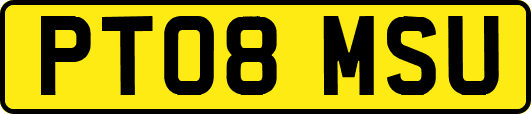 PT08MSU