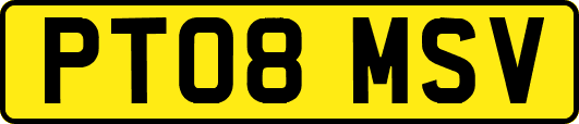 PT08MSV