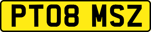 PT08MSZ