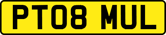 PT08MUL