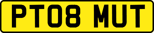 PT08MUT
