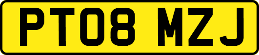 PT08MZJ