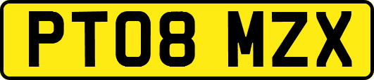 PT08MZX