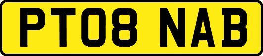 PT08NAB