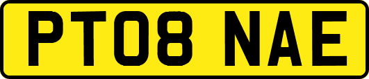 PT08NAE