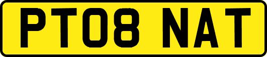 PT08NAT