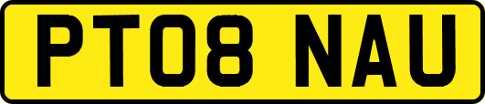 PT08NAU