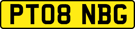 PT08NBG