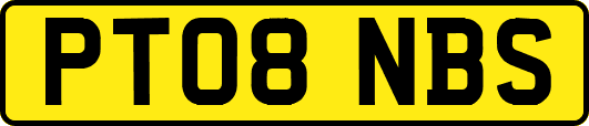 PT08NBS