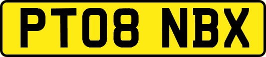 PT08NBX