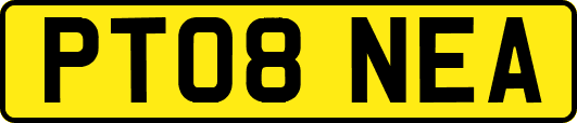 PT08NEA