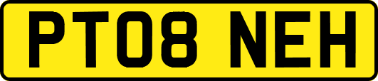 PT08NEH