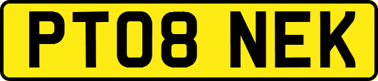 PT08NEK