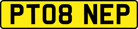 PT08NEP