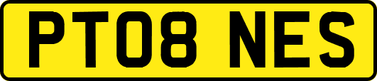 PT08NES