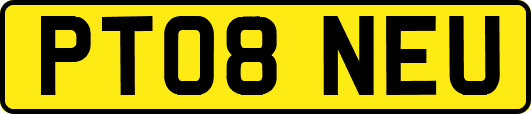 PT08NEU