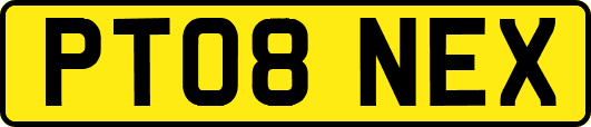 PT08NEX