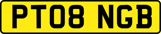 PT08NGB