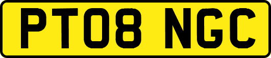 PT08NGC