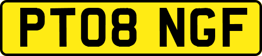 PT08NGF