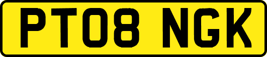 PT08NGK