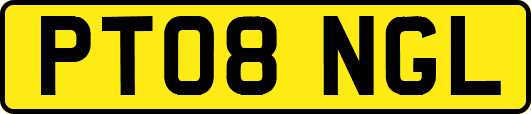 PT08NGL
