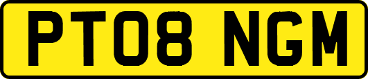PT08NGM