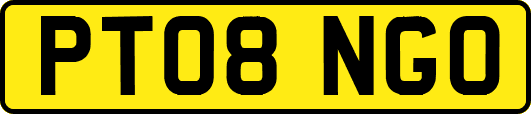 PT08NGO