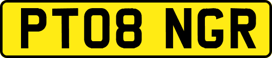 PT08NGR