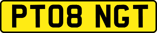 PT08NGT