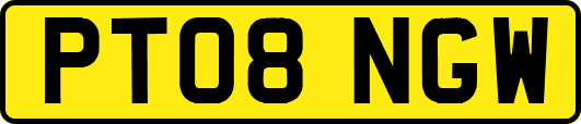 PT08NGW