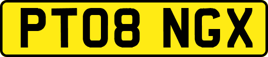 PT08NGX